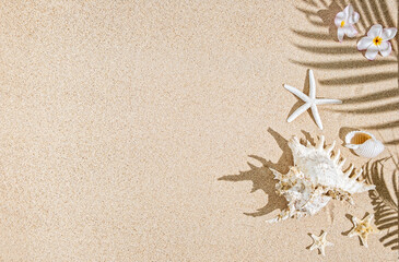 Fototapeta na wymiar White Sea shells and star fish on sand and palm tree shadows. Tropical background, copy space