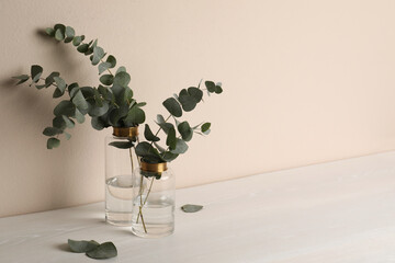 Vases with beautiful eucalyptus branches on white wooden table near beige wall. Space for text