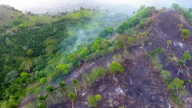 Aerial view of smoking tropical forest fires burning, in the mountains of Portugal, Europe - tracking, drone shot