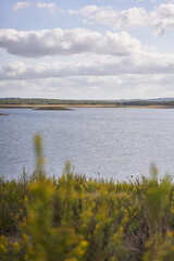 Nature landscape of Minutos Dam reservoir lake with yellow flowers on a sunny day in Alentejo, Portugal