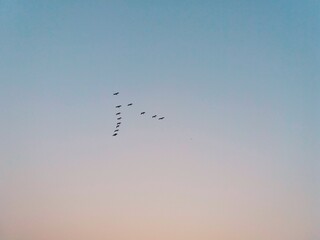 Obraz premium friendship