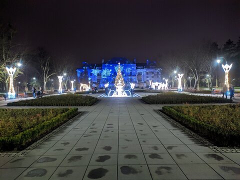 Christmas decocations in the park at night