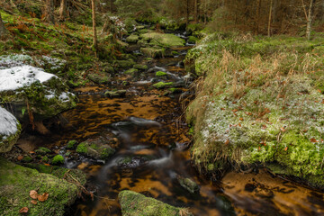 Konsky creek in National park Sumava with cascade and waterfall