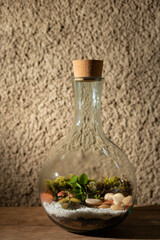 Terrário dentro de vidro com rolha e com parede chapiscado ao fundo.