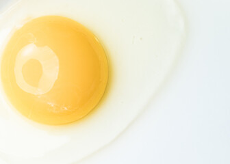 Egg on a white background