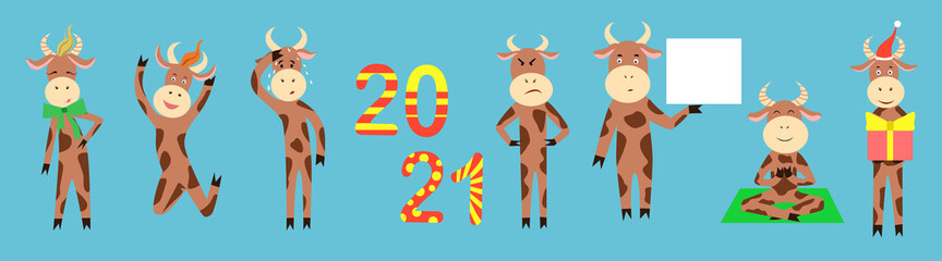 Set of bulls in various poses on a blue background. symbol of the new year 2021. Vector illustration.