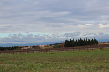 PAYSAGE  de saint andre de roquelongue