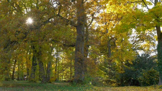 Schacky Park in Diessen am Ammersee, Bavaria, Germany