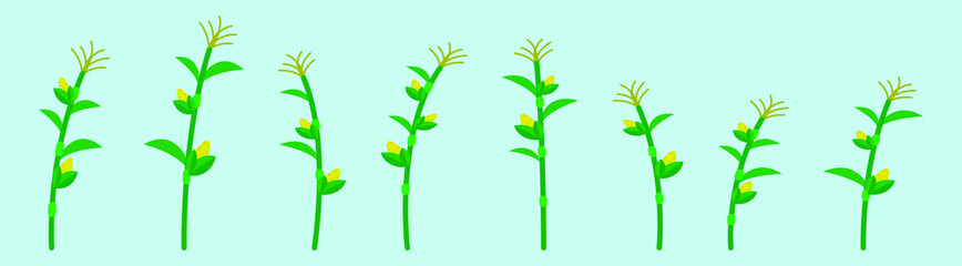 set of corn stalks cartoon icon design template with various models. vector illustration isolated on blue background