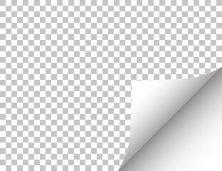 Paper with a curled edge. Vector illustration.