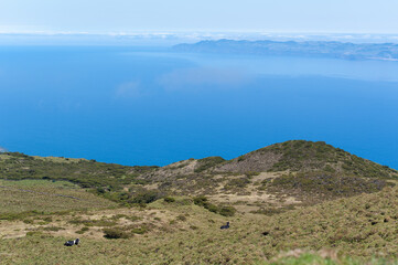 When you're jealous of cows... 