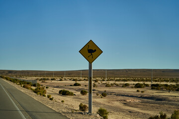black and yellow road sign standing next to the street in Chile at the panamerican highway, warning of a Nandu, greater Rhea, Rhea americana, and asking to pay attention and caution