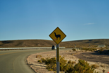 black and yellow road sign standing next to the street in Chile at the panamerican highway, warning of a Llama or Guanaco, and asking to pay attention and caution