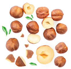 Hazelnuts whole and crushed pieces with  green leaves isolated  on a white background. Creative...