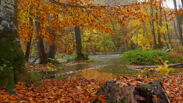 The Wuermtal between Gauting and Starnberg in autumn, Bavaria, Germany