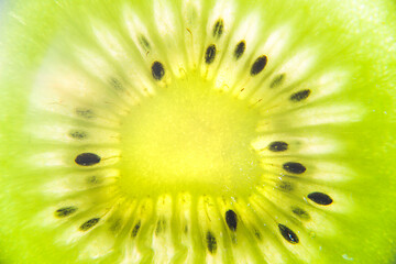 macro photography of kiwi slice