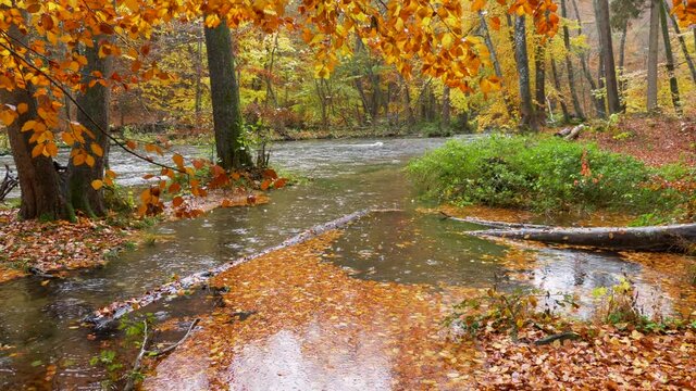 The Wuermtal between Gauting and Starnberg in autumn, Bavaria, Germany