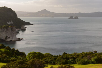 Cathedral Cove Beach on Coromandel Peninsula