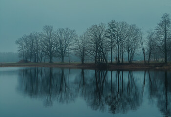 Odbicie drzew w wodzie