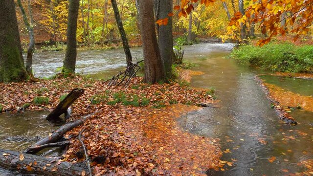 The Wuermtal between Gauting and Starnberg in autumn, Bavaria, Germany