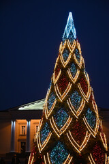 christmas tree at night in Vilnius