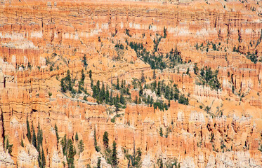Bryce canyon