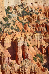 Bryce canyon