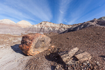 Petrified Logs with badlands in background in Petrified Forest National Park, Arizona, US....