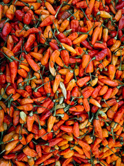 Pile of Chillies on Fresh Market