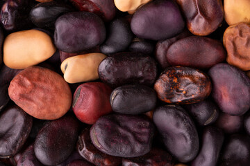 Multicolored dried beans. Bean seeds. Dry beans background. Beans close up.