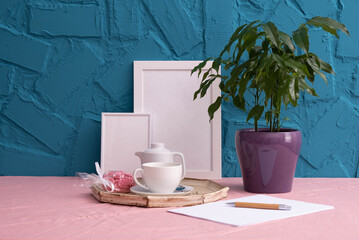 photo frames and home plant in a pot stand on the table
