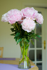 Peony Pink Bouquet. Flowers in vase lit by daylight.