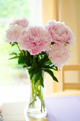 Fototapeta na wymiar Peony Pink Bouquet. Flowers in vase lit by daylight.