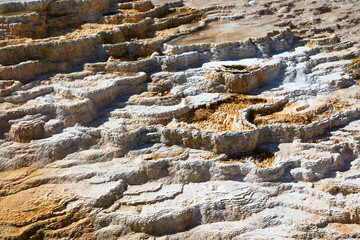 Mammoth hot springs
