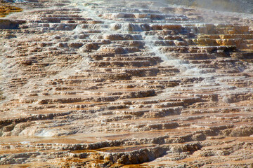 Mammoth hot springs
