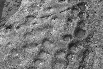 Closeup of stone texture looking like moon surface (black and white)