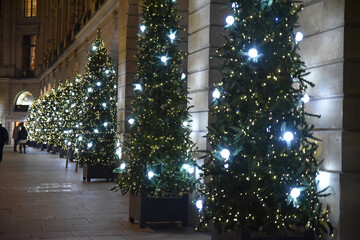 Spins de Noël scintillant dans la nuit