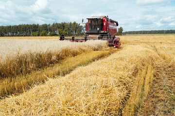 Combine harvester harvests ripe wheat. Concept of a rich harvest. Agriculture image