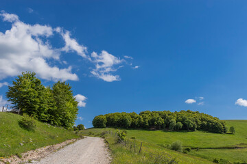 road in the countryside