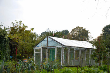 Naklejka na ściany i meble greenhouse in the garden