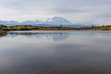 Scenic Denali National Park Reflection Landscape in Autumn