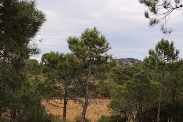 paysage des corbières