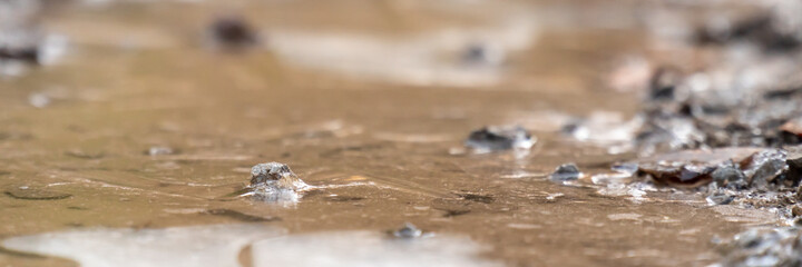 vereiste Makrolandschaft