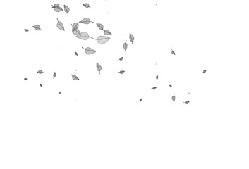 Light Black vector sketch backdrop.