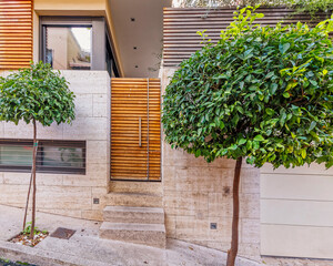 modern house facade with natural wood entrance door by the sidewalk and small lemon trees