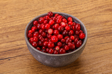 Sweet and tasty cranberry in the bowl