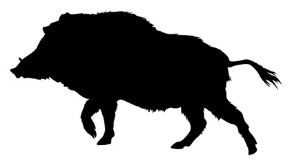  silhouette of a boar - obrazy, fototapety, plakaty