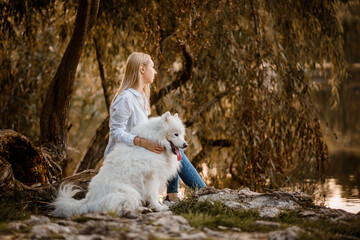 beautiful woman in white shirt is sitting on the shore of the lake with her white dog samoyed on sunset in a autumn day.