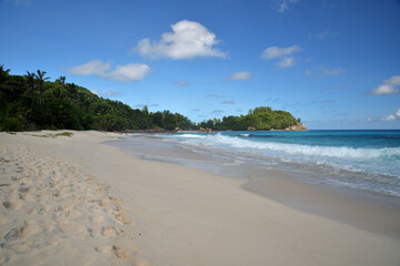 Fototapeta na wymiar Ein traumhafter Strand mit Palmen auf einer Seychelleninsel