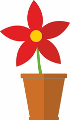 flower, home plant in ceramic pot
